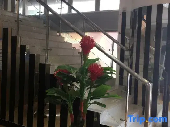 Balcony & Terrace