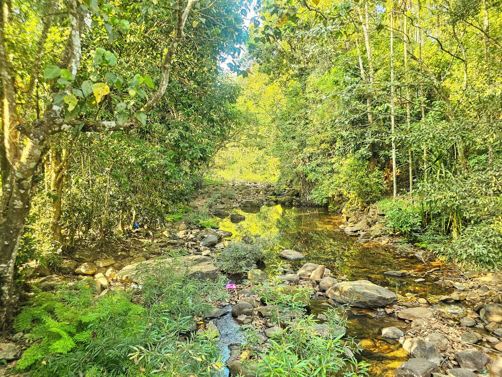 Mamoksha Riverdale