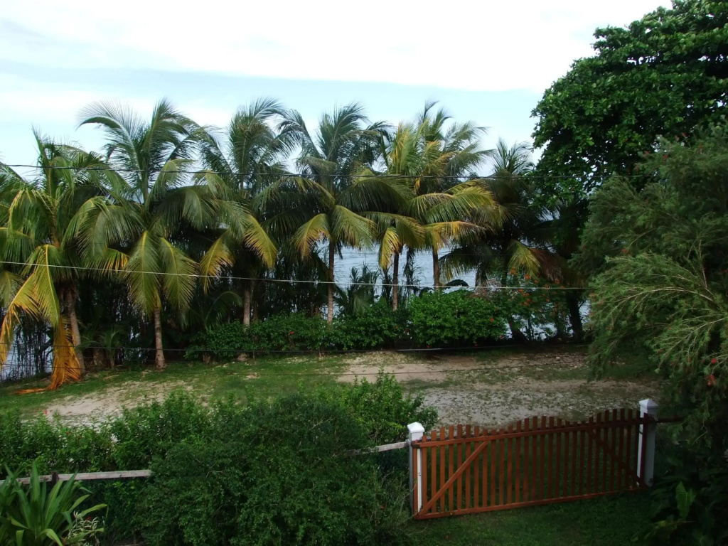 BlueBelize B&B