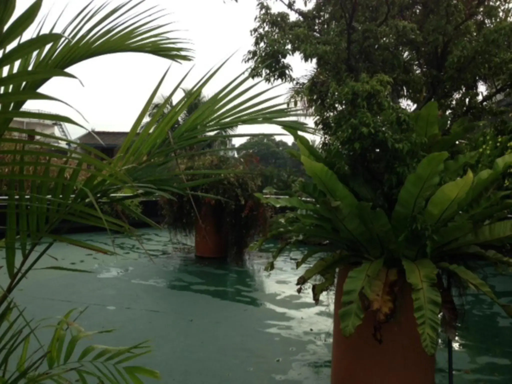 Hotel photo 29