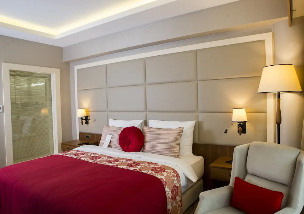 Двухместный номер Standard двуспальная кровать в Ramada by Wyndham Sakarya Hendek