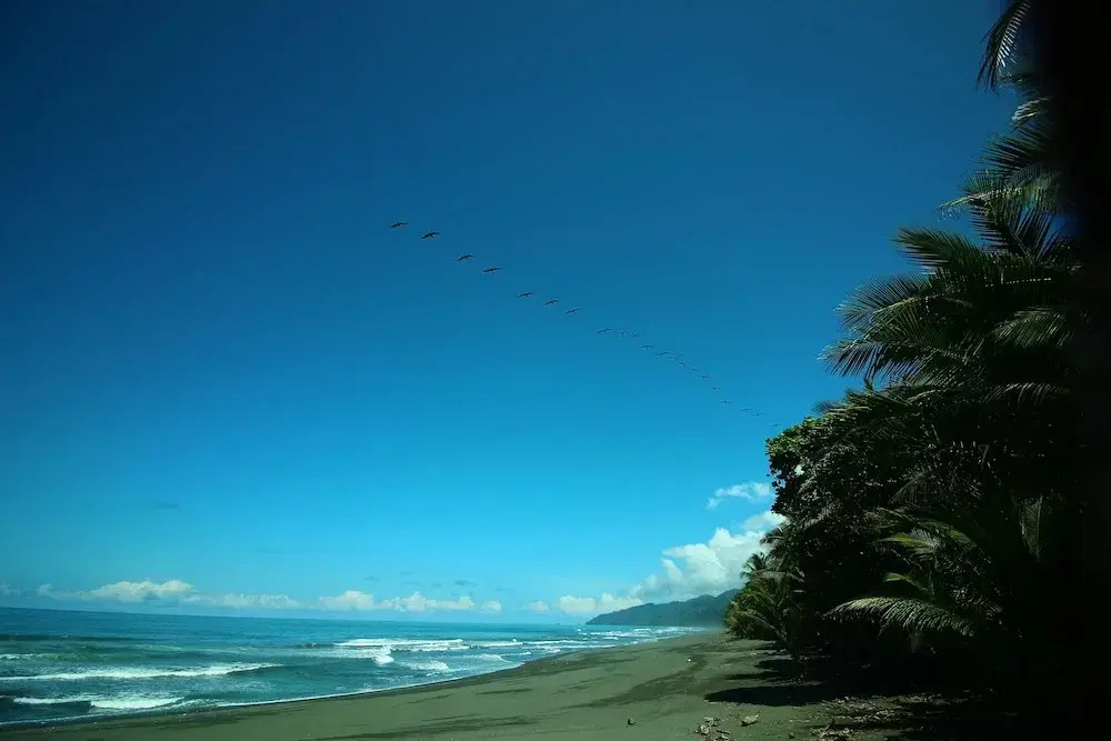 Finca Exotica ecolodge - фото 19