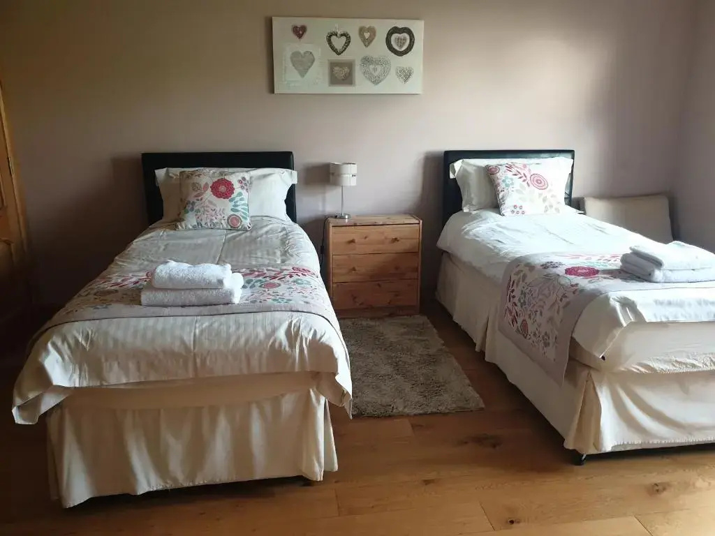 Standard Double room (twin beds)