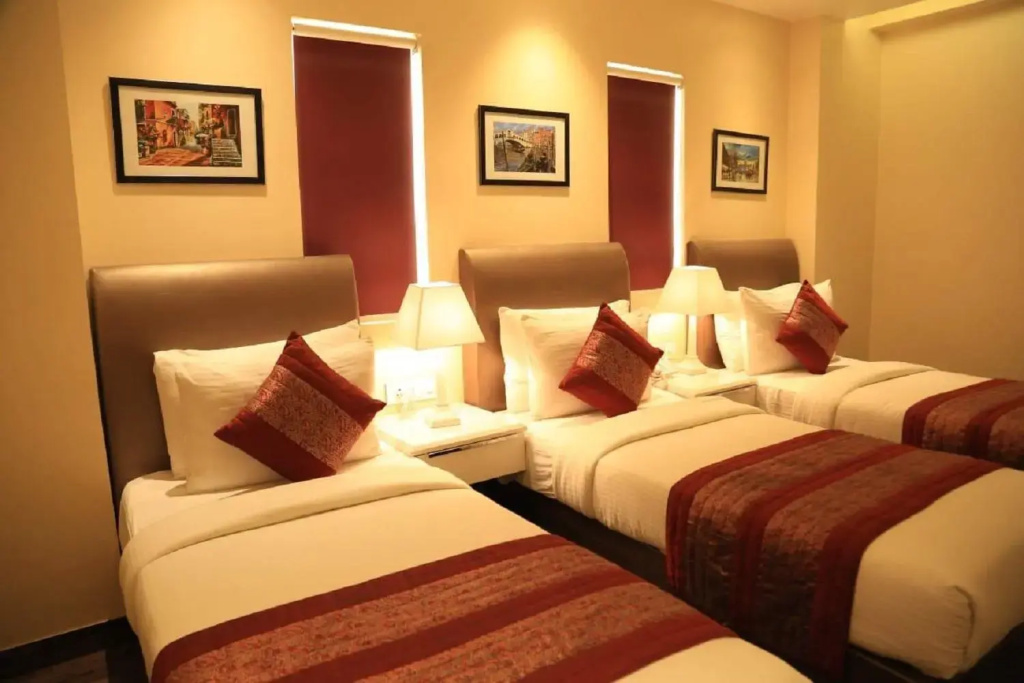 Hotel Picasso Naraina - Chambres