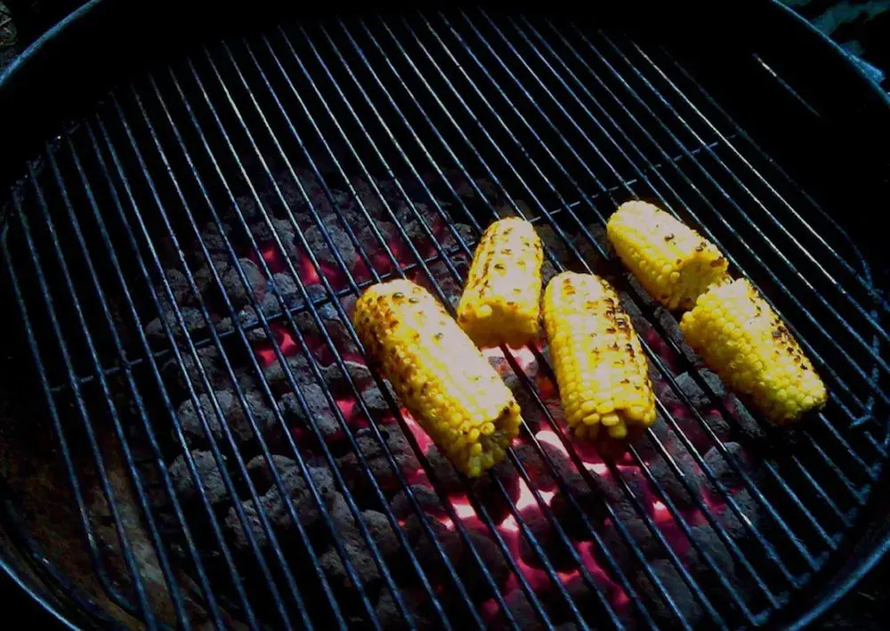 Hotel Bradford Main St Pa by OYO Rooms — фото 2