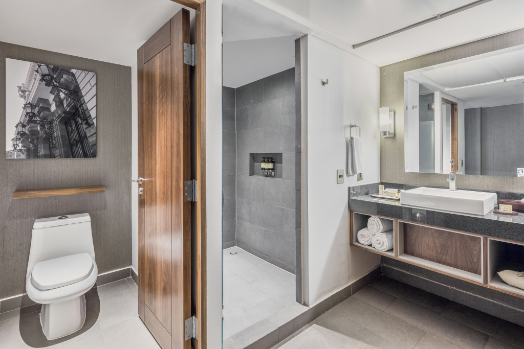 Hotel Fiesta Americana Guadalajara  - Général