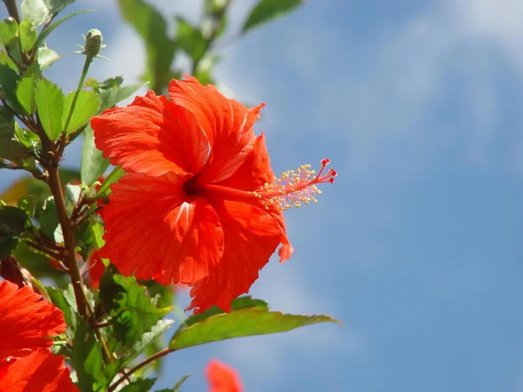 四人套房，配有雙人床