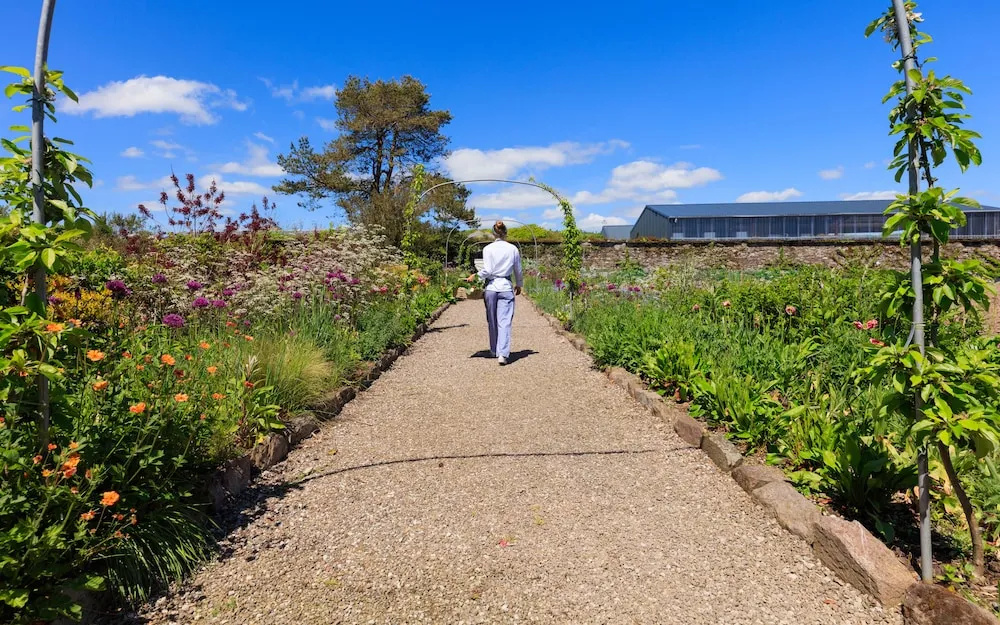 Ballymaloe House Hotel - Général
