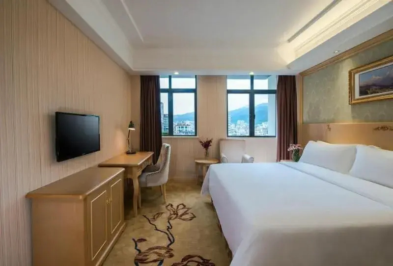 Vienna Hotel Shenzhen East Railway Station Branch - Général