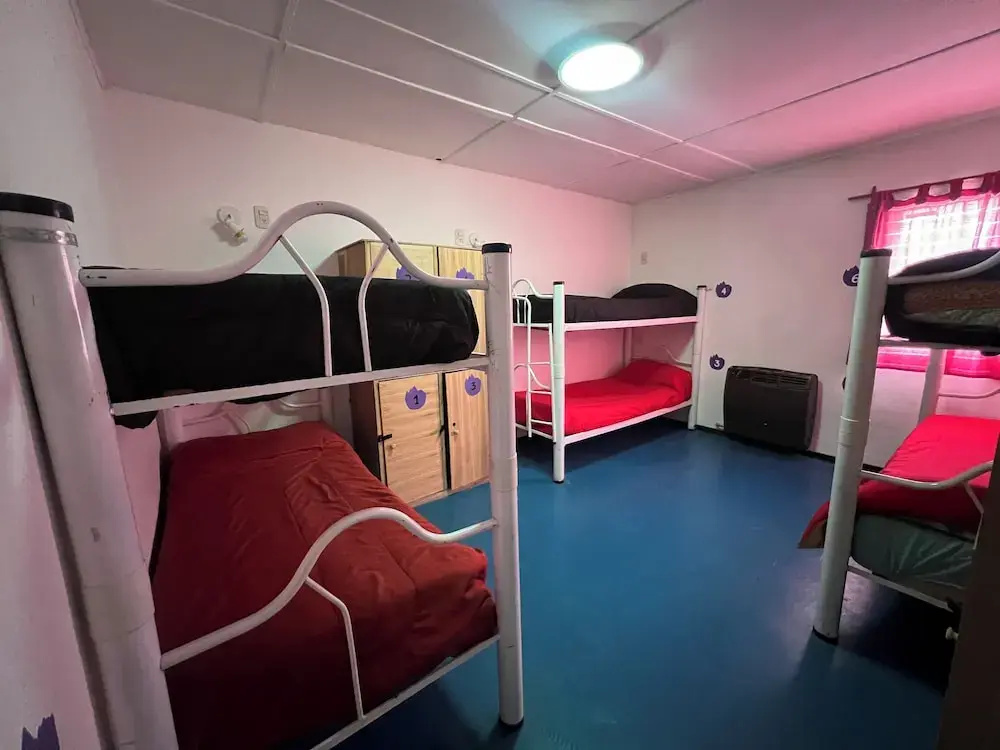 Bed in Dorm
