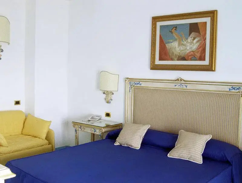 Superior Double room (full double bed)