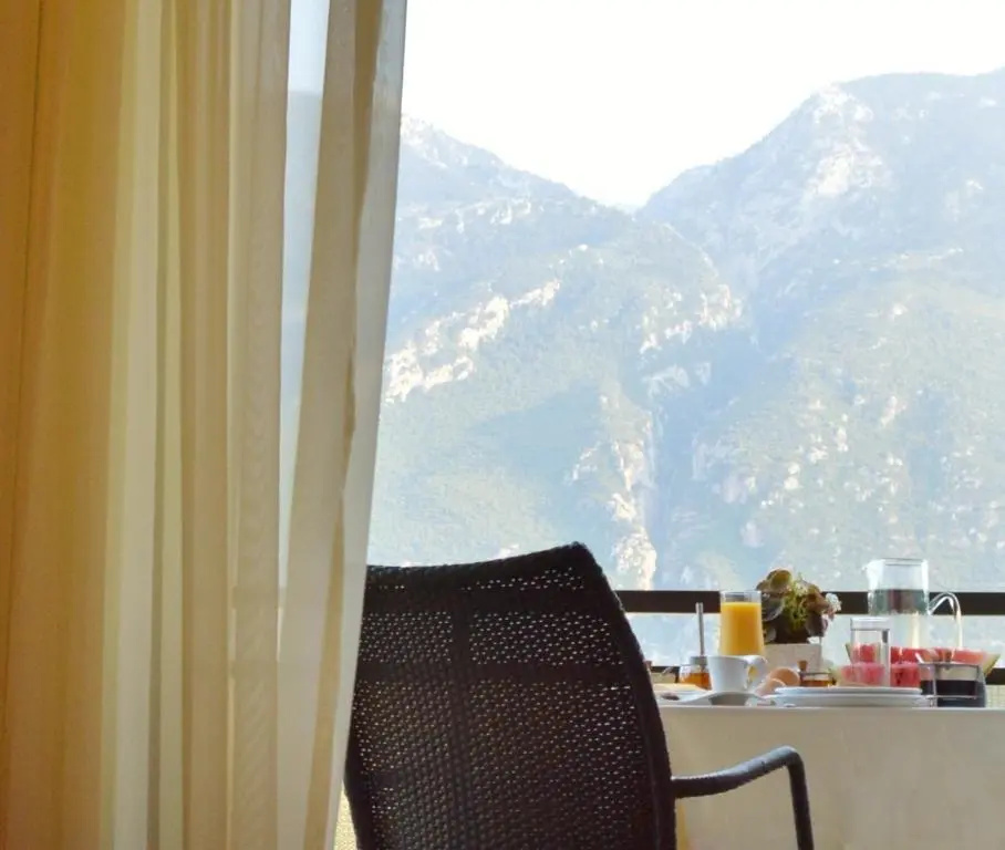 Superior Double room with mountain view (full double bed)