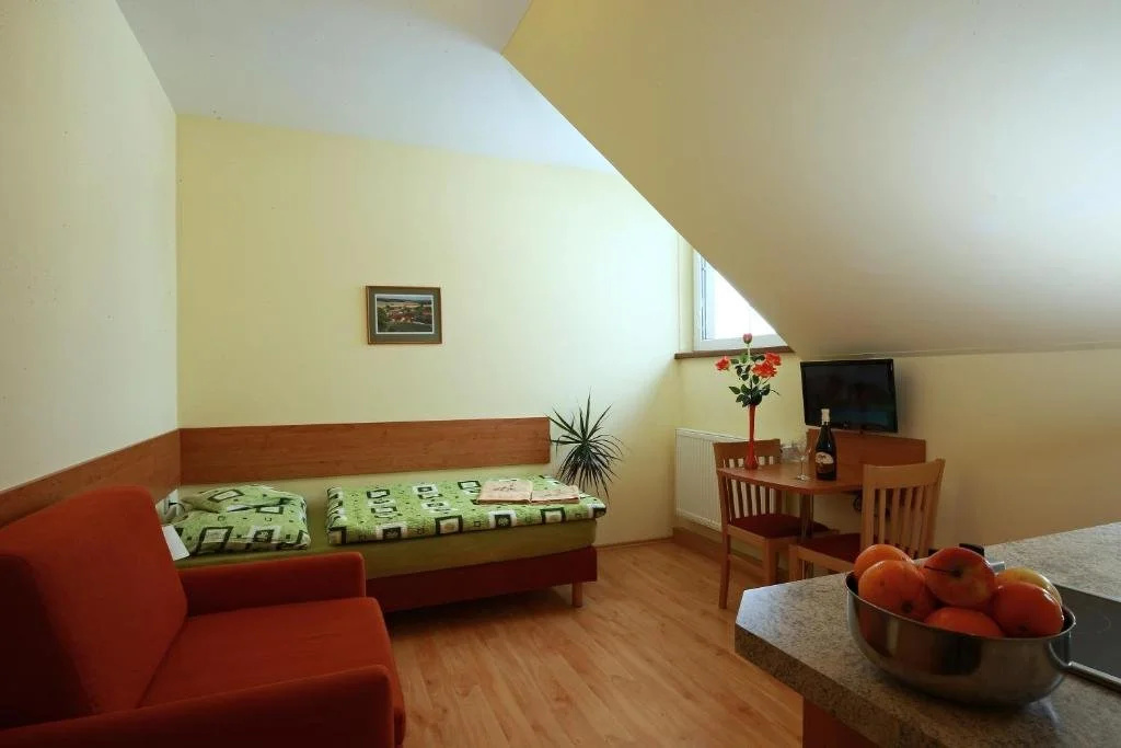 Wellness Penzion Pod Rozhlednou - Général