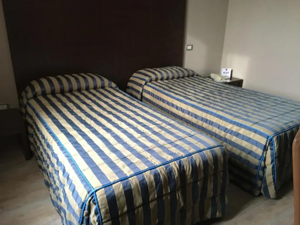 Standard Double room (twin beds)