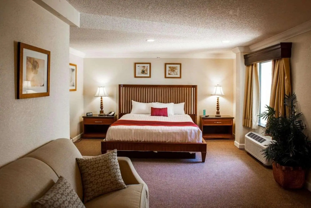 Double Suite (full double bed)
