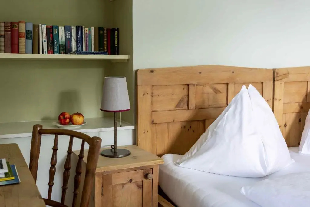 Standard Double room with mountain view (full double bed)