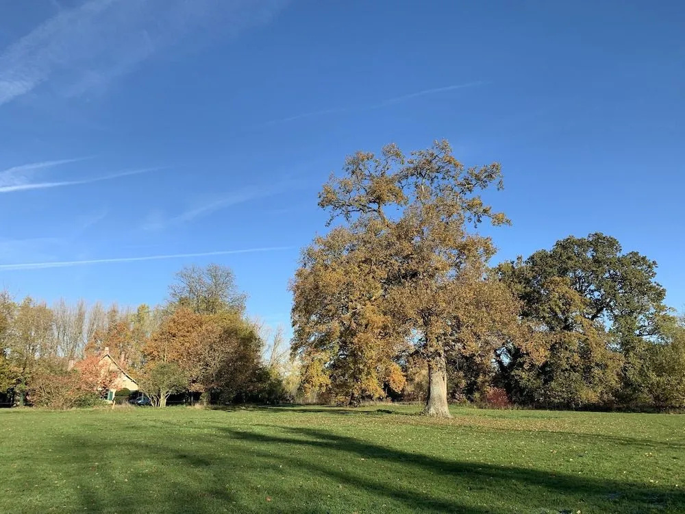 Le Cottage du Manoir de Bois-en-Ardres