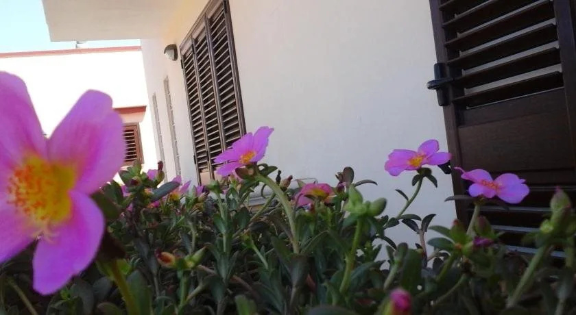 B&B La Chiocciola del Salento