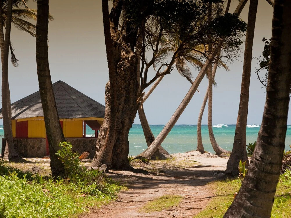 Firefly Estate Bequia - фото 25