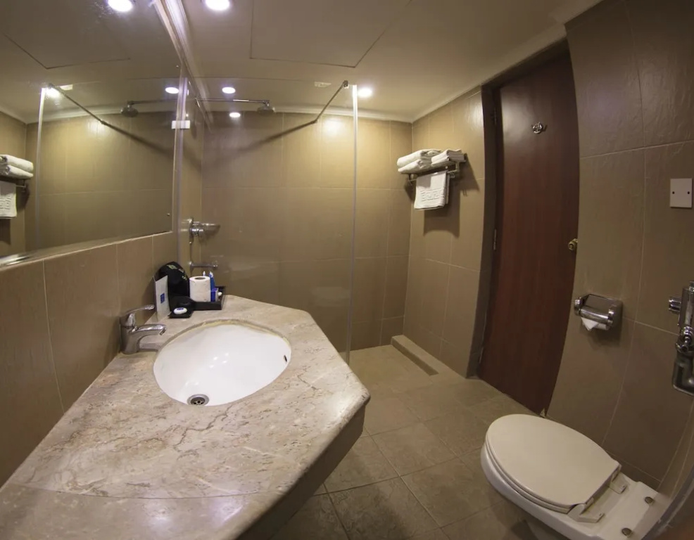 Deluxe Double room with city view (full double bed)