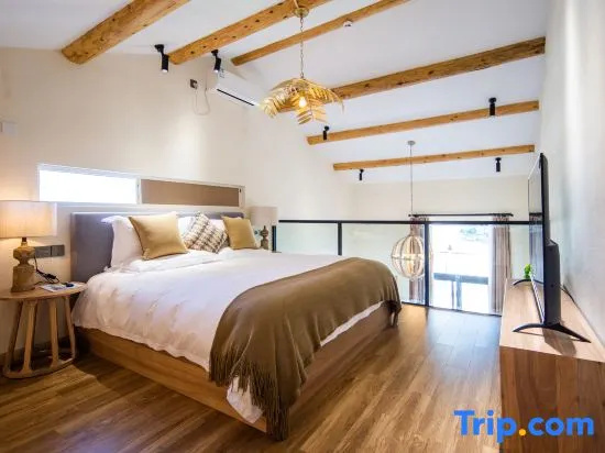 Standard Double room with mountain view (full double bed)