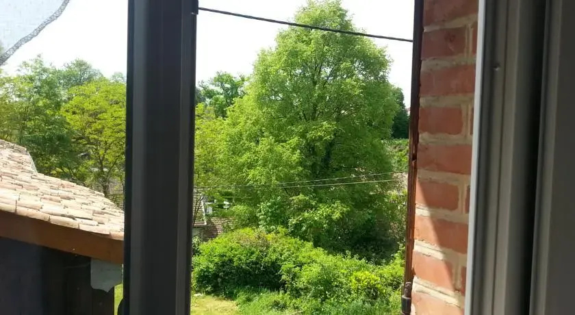 Voir la photo 4 — La Glycine