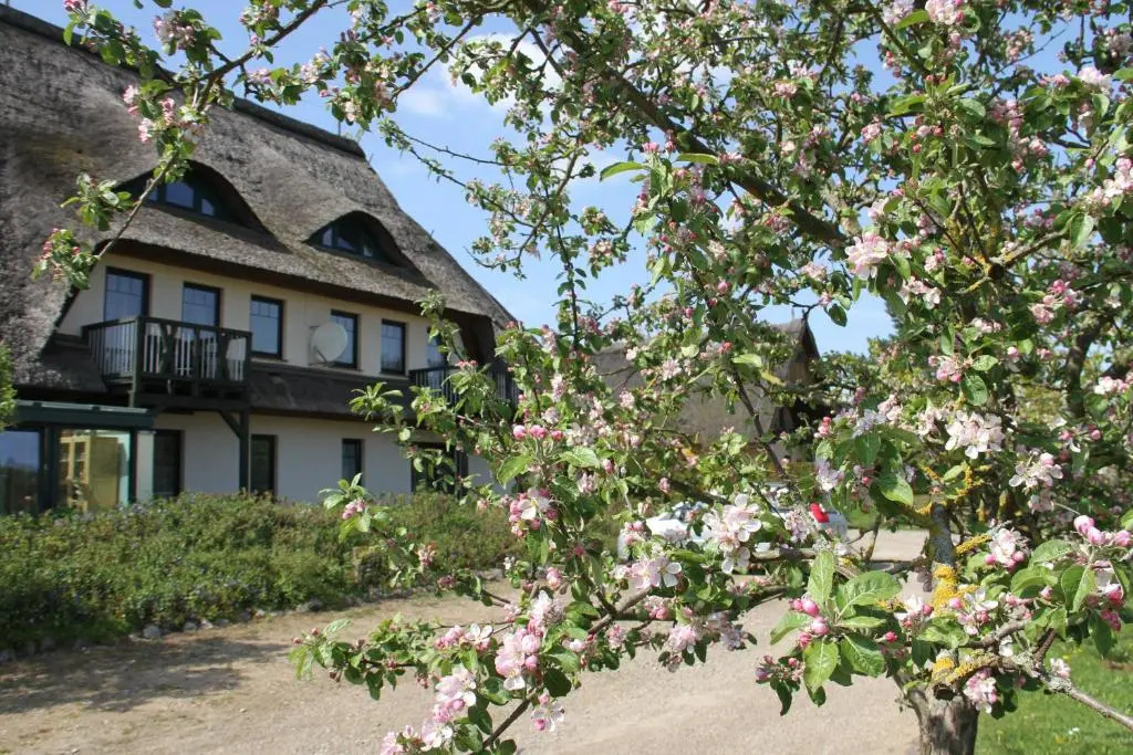 Kur- & Landhotel Borstel-Treff - Général