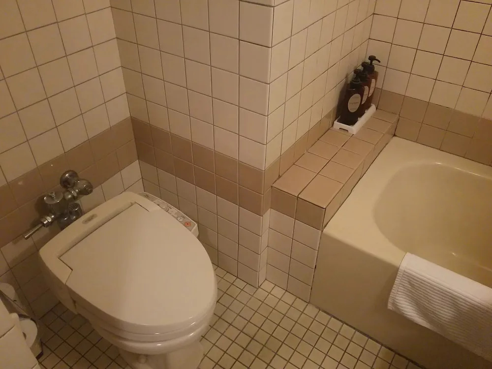 Miyazaki Kanko Hotel - Chambres