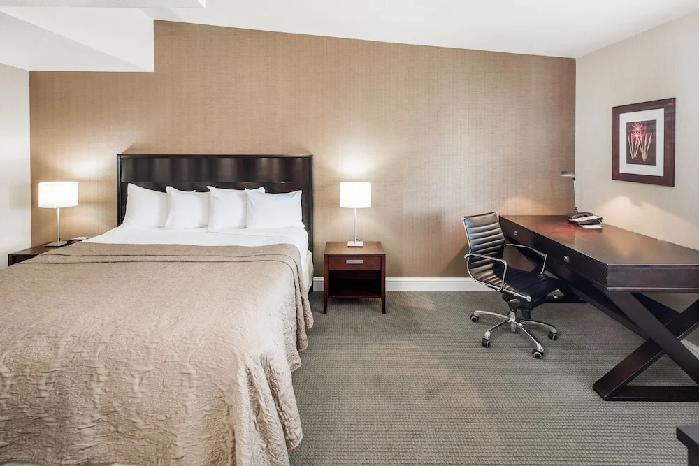 1 Bedroom Executive Suite