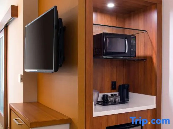 SpringHill Suites Los Angeles Burbank/Downtown - Chambres