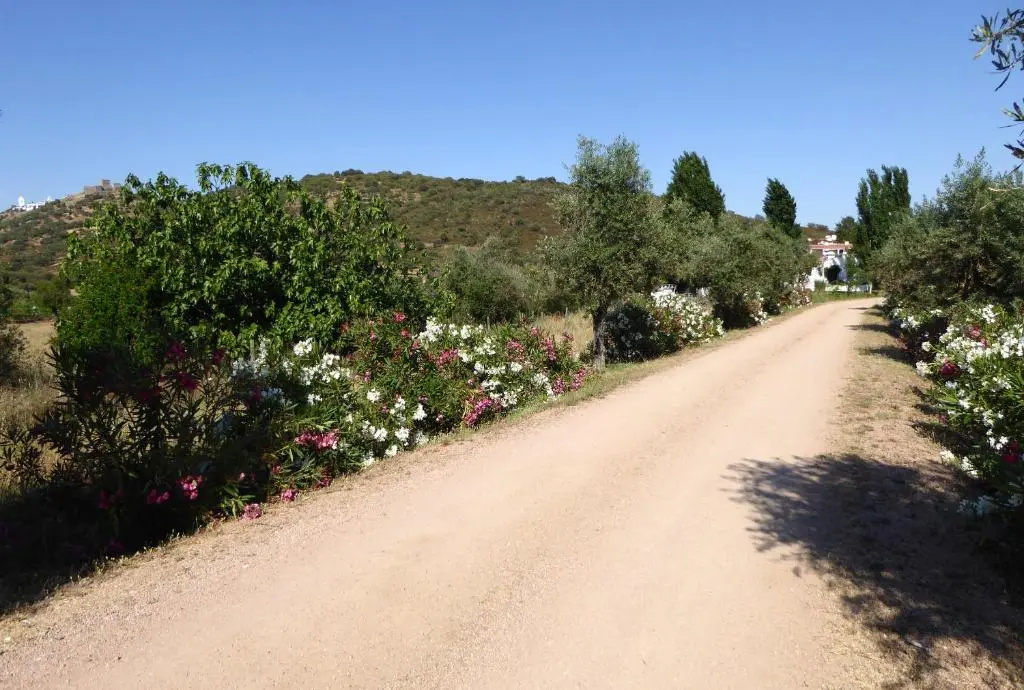 Monte Do Laranjal