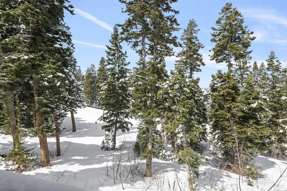 6977 Silver Lake Drive - 5 Bedroom Private Home with Hot Tub by Deer Valley Resort