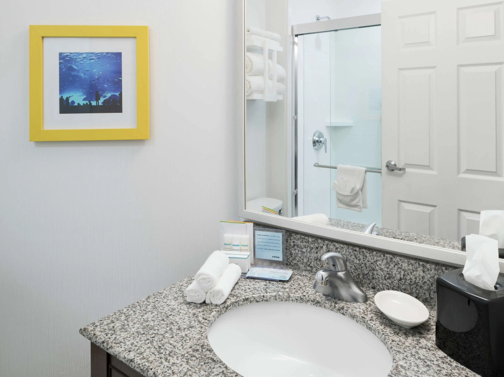 Hampton Inn & Suites Atlanta-Downtown - Général