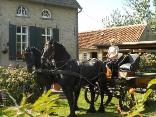 t'Ooievaarsnest - фото 17