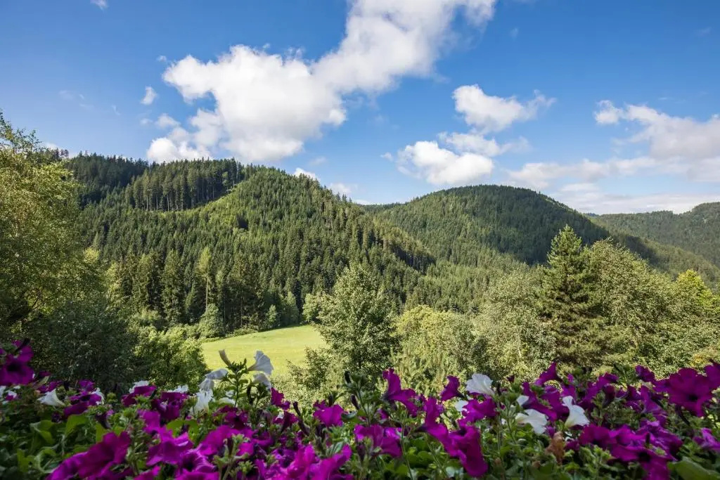 Gasthof Gasserhof - Chambres