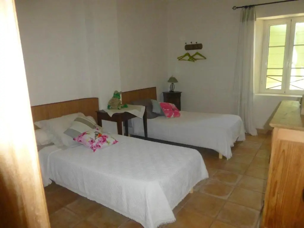 Standard Double room (twin beds)
