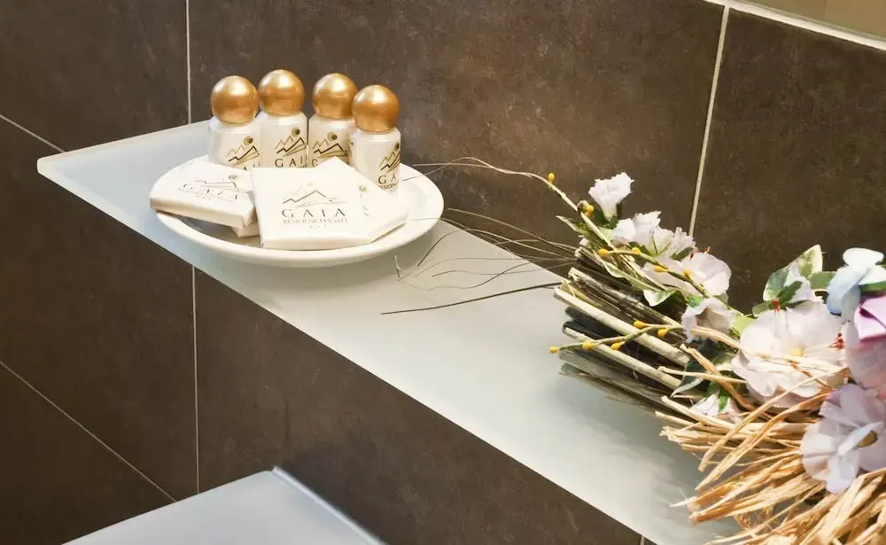 Gaia Wellness Residence Hotel - Chambres