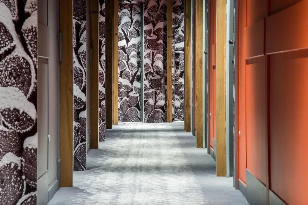 Alpina Eclectic Hotel - Général