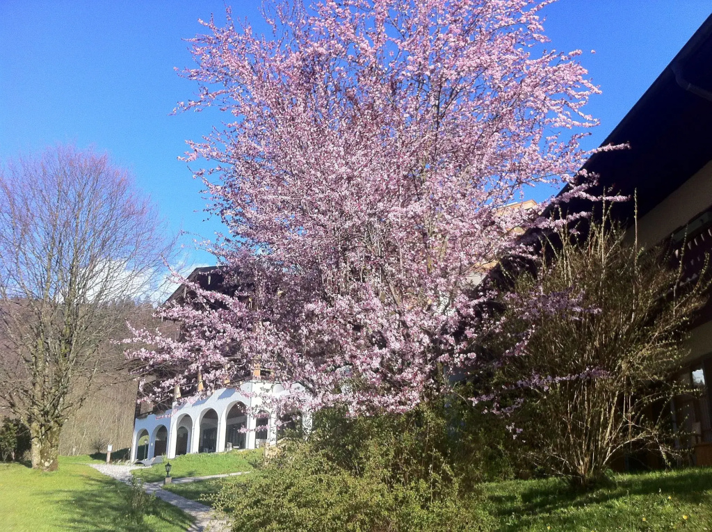 Berghotel Rehlegg - Général