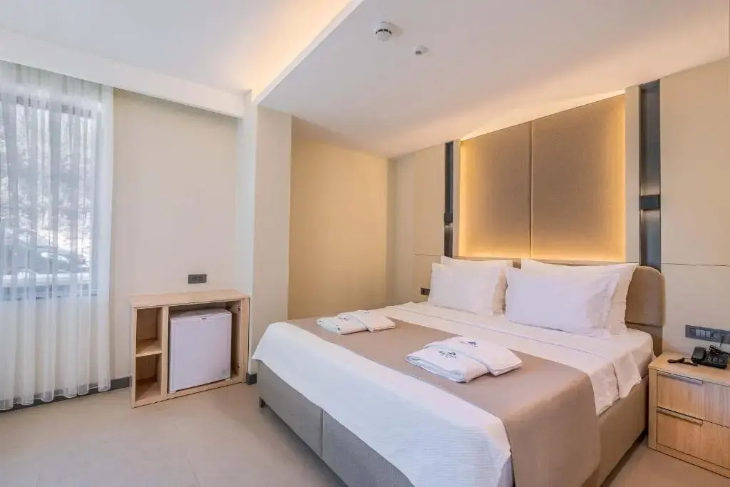 Deluxe Double room (full double bed)