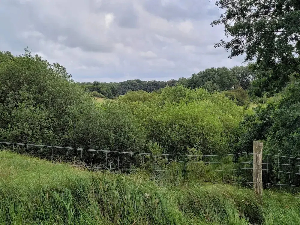 4 Star Holiday Home in Hovborg