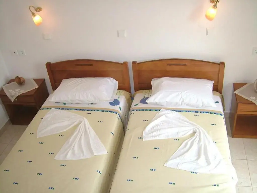 Standard Double room (twin beds)
