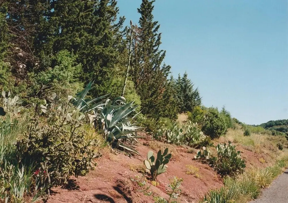 Le Chemin de Lauzières