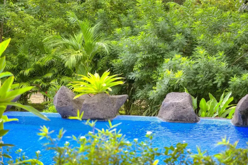 Pumilio Mountain & Ocean Hotel - Chambres