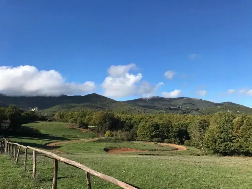 La cristalla