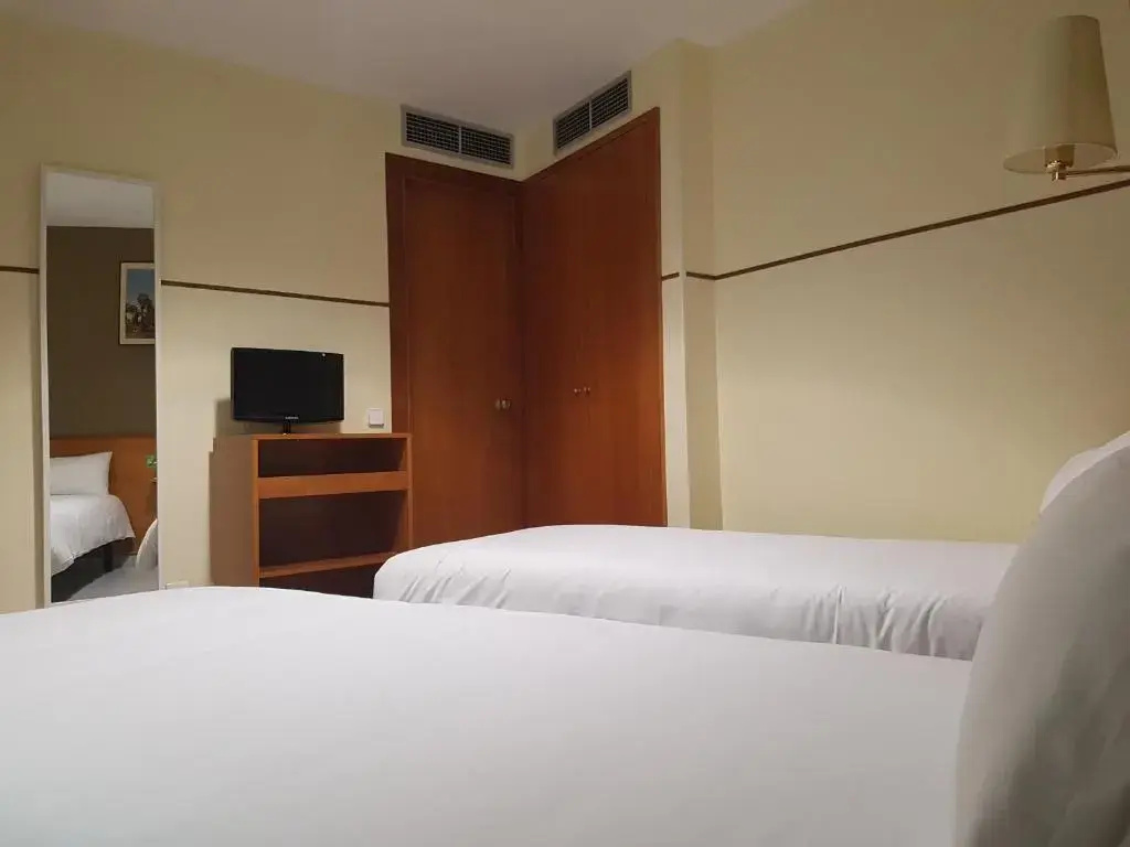 Standard Double room (twin beds)