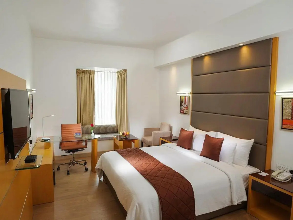 Hotel Venus Plaza - Near Delhi Airport