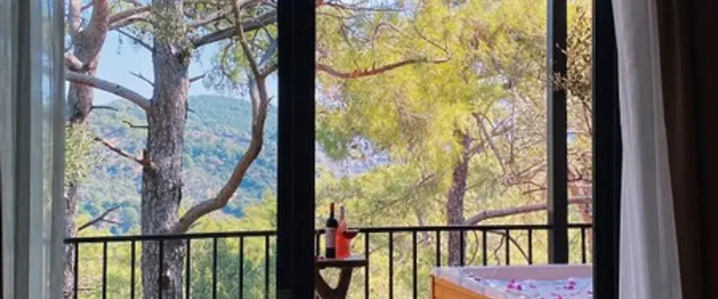 Balcony & Terrace