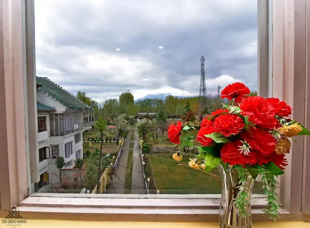 Hotel The Grand Mamta - Chambres