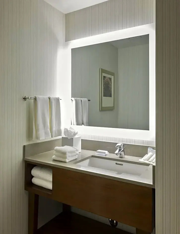 Hilton Garden Inn Long Island City New York - Chambres